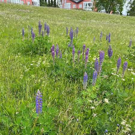 Heller Am Hasselkopf Apartament