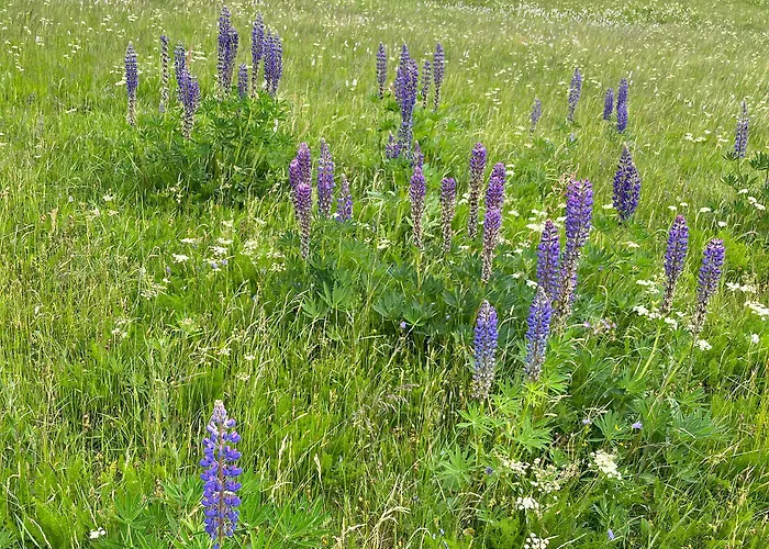 Heller Am Hasselkopf Daire