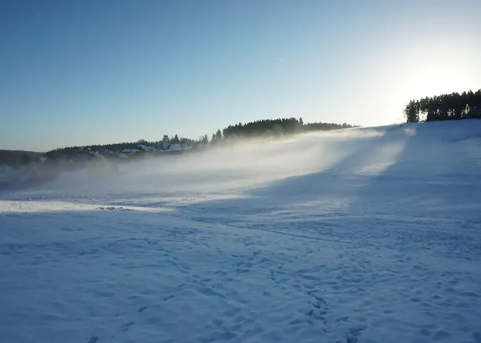 Heller Am Hasselkopf